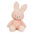 BABY - 12" 100% RECYCLED PINK BUNNY (2) BL